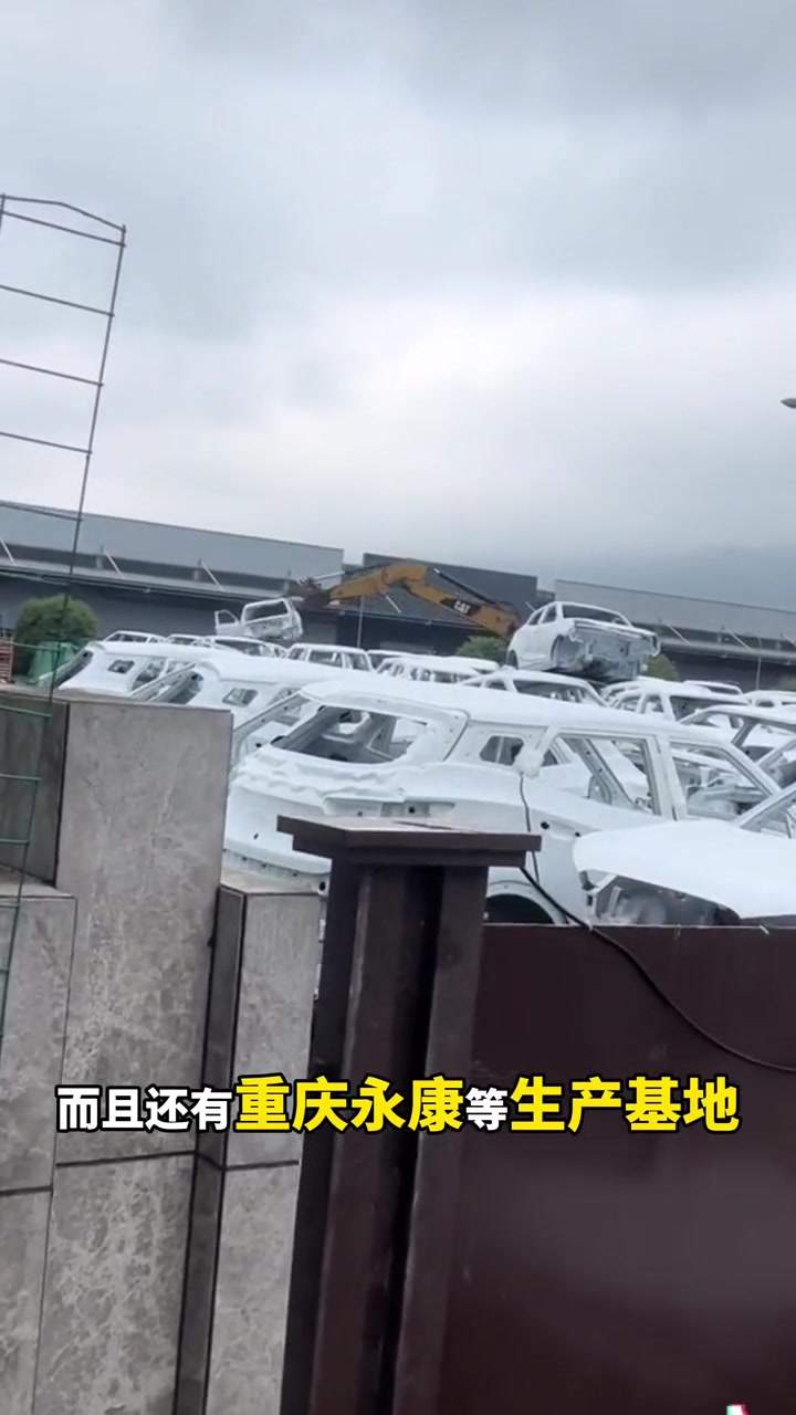 段永平步步高系或将复活众泰，小米是直接竞争对手吗？