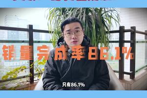 你更看好谁？快评2025自主五强