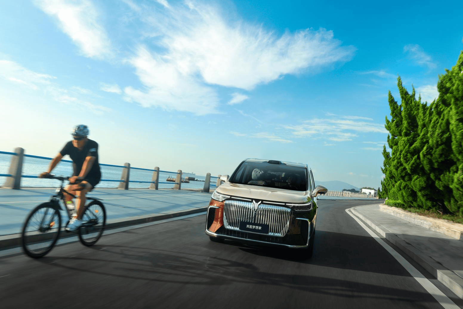 纯电续航350公里|2026款岚图梦想家上市，32.99万起