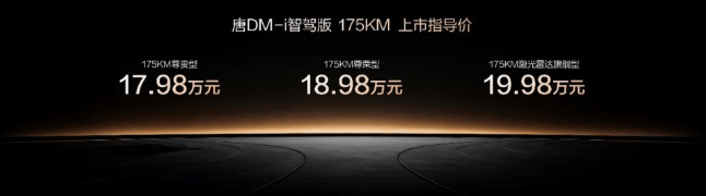 带娃、出游、通勤全搞定！唐DM-i 175KM版上市