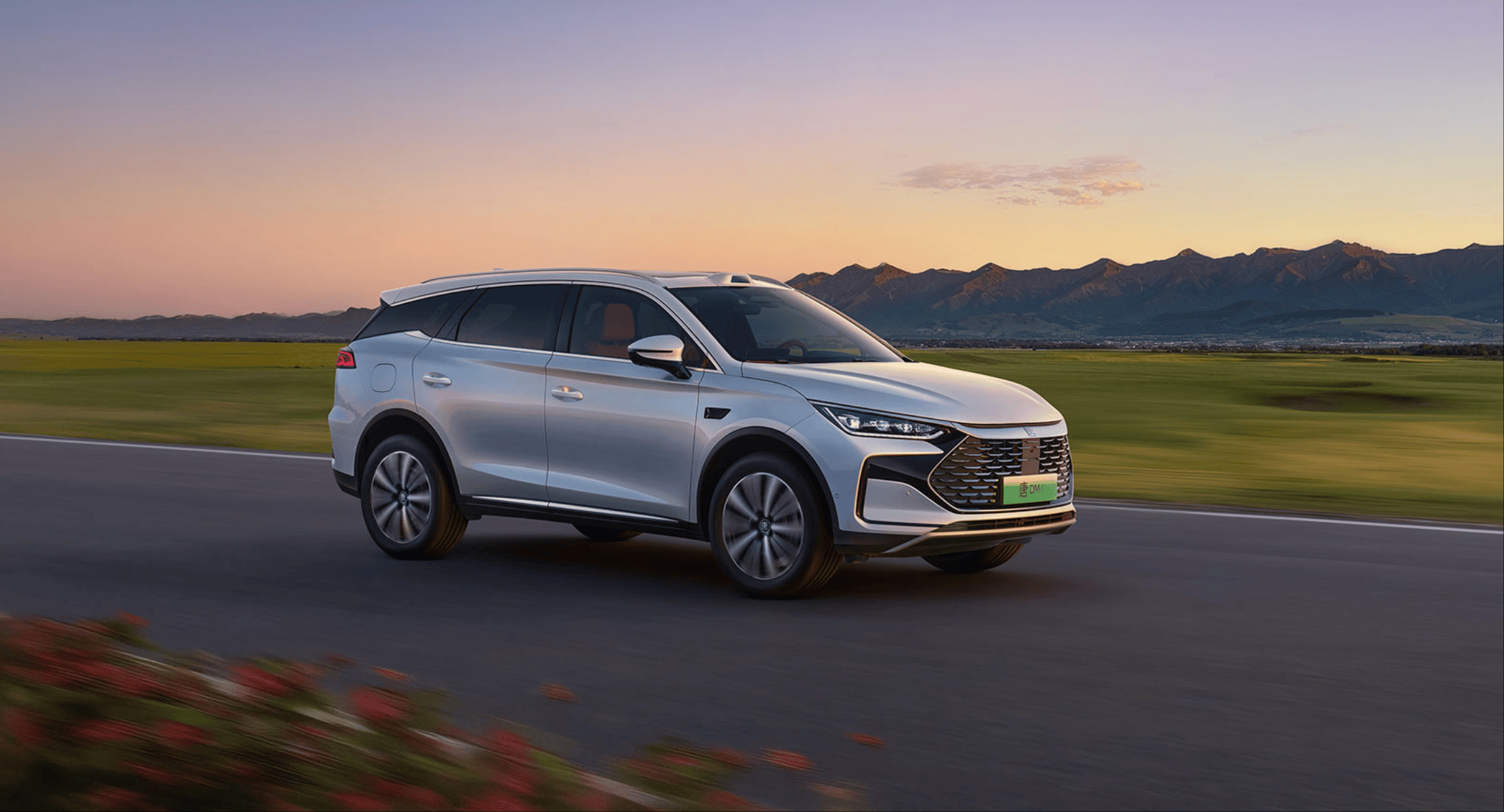 一车全能，家用首选！唐DM-i 175KM版上市，置换补贴后16.98万起