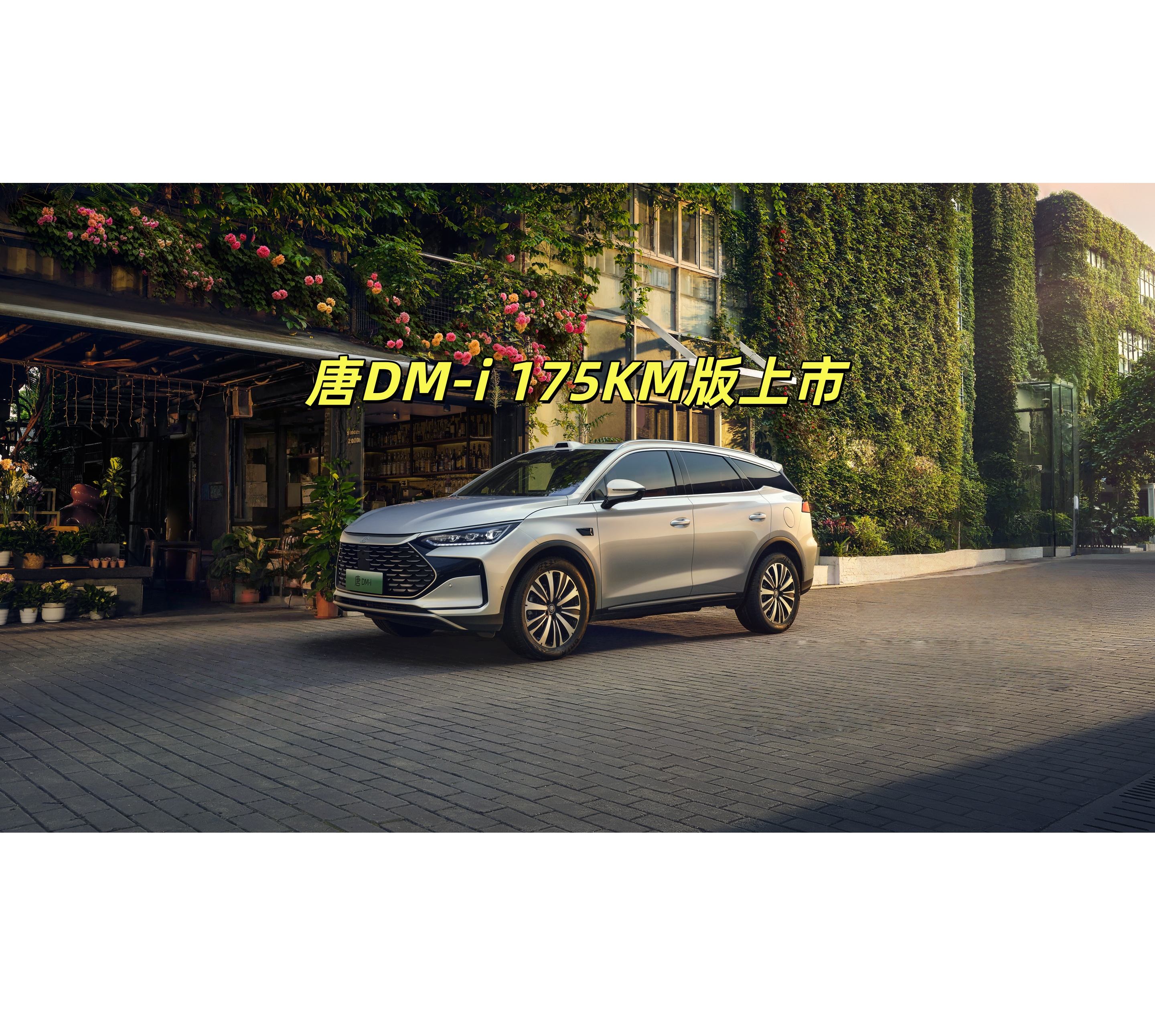 唐DM-i 175KM版上市，置换补贴后16.98万起，引领家庭出行新时代