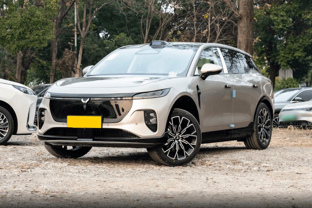 聊一款家用超省心的纯电SUV：全新岚图知音实测感受！